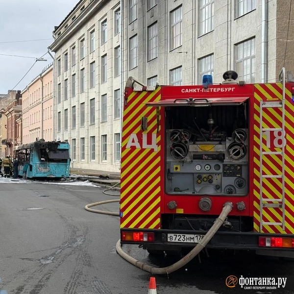 Источник: Валентин Егоршин / «Фонтанка.ру»