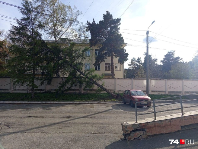 Забор, к счастью, устоял | Источник: читатель 74.RU