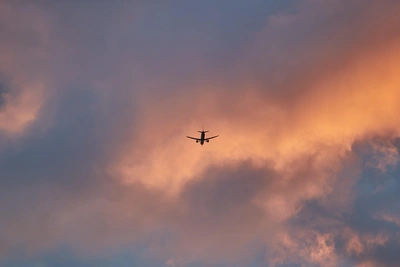 Новосибирцы вернутся из Дубая по графику S7