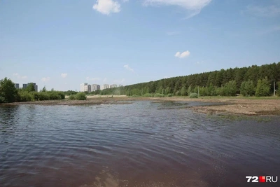 В Тюмени планируют установить большое колесо обозрения