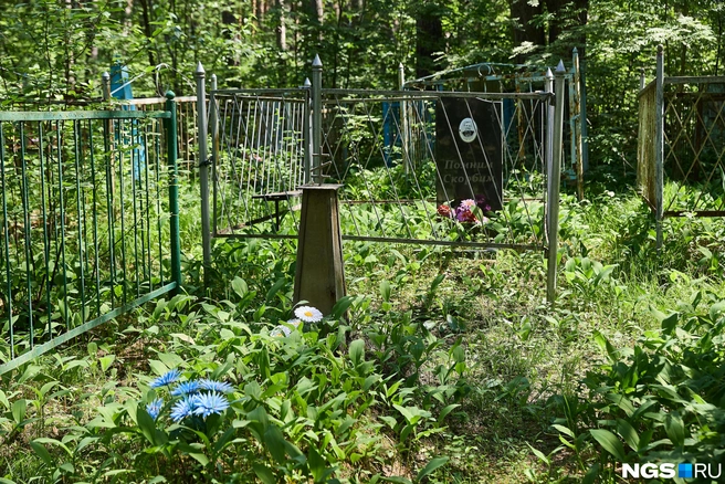 На кладбище приносят новые пластиковые цветы  | Источник: Александр Ощепков / NGS.RU