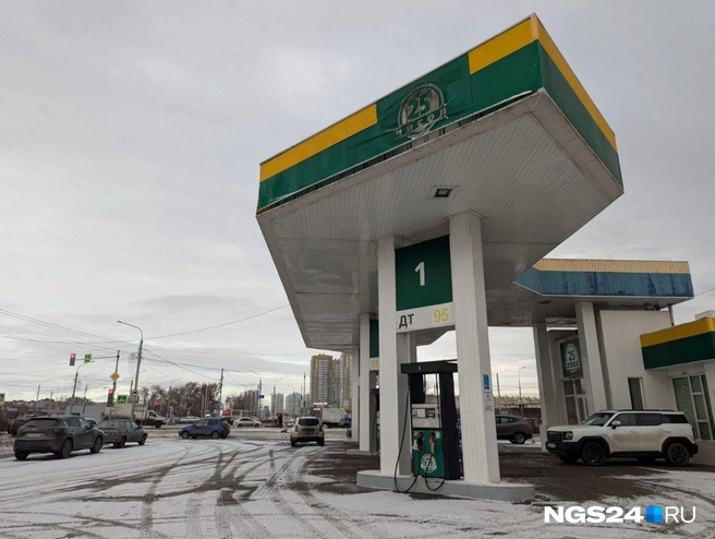 На некоторых заправках осенью не было топлива | Источник: Мария Ленц / NGS24.RU