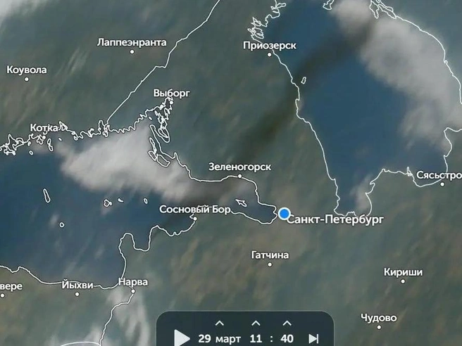 Черная полоса дыма, зафиксированная утром 29 марта. | Источник: zoom.earth