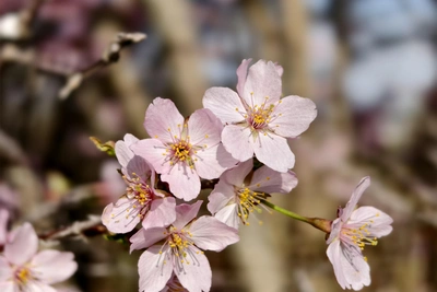 Май в Башкирии будет около климатической нормы