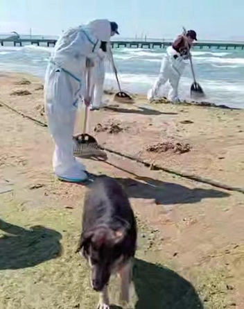 Кадр из видео оперштаба Краснодарского края