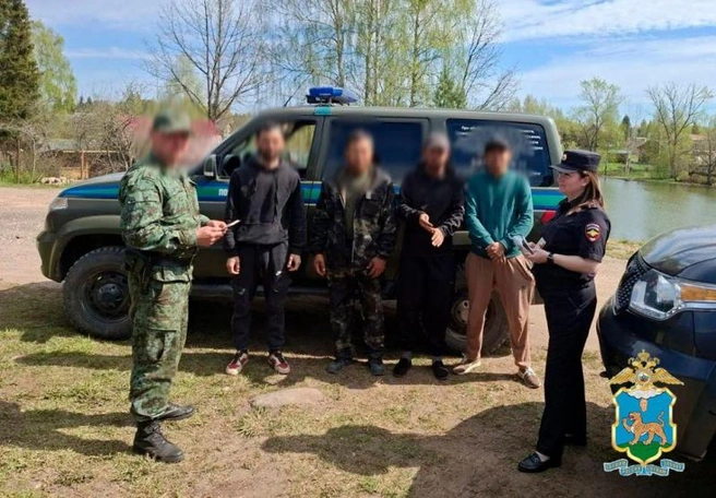 В Псковской области выявили нелегальных мигрантов | Источник: 60.xn--b1aew.xn--p1ai