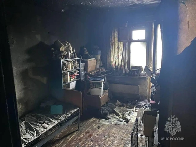 В квартире погибло пять собак  | Источник: МЧС Красноярского края 