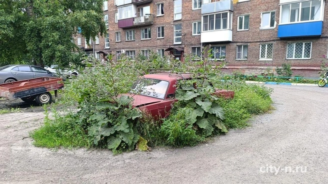 Судя по состоянию машины, ею давно никто не пользовался | Источник: www.city-n.ru