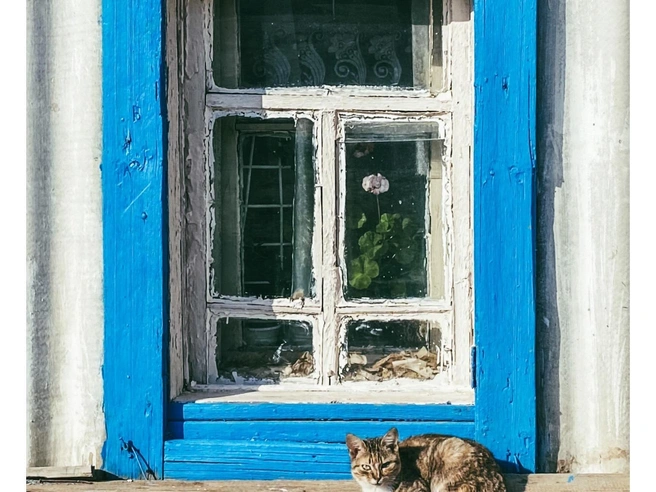 Источник: Юлия Воропаева