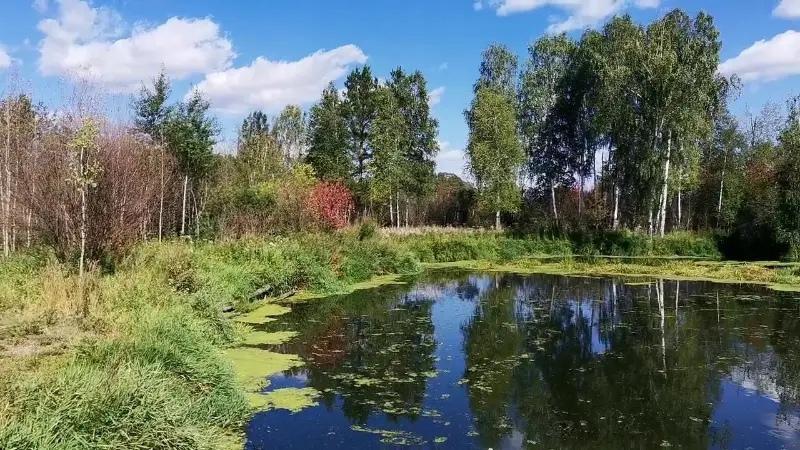 На Урале из реки выловили труп мужчины 