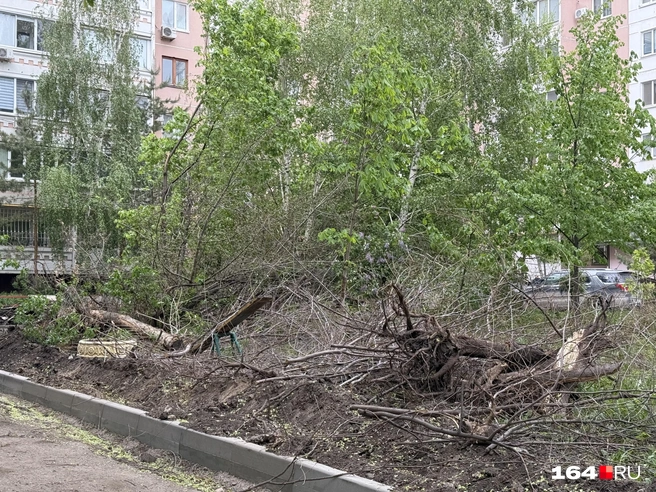В этом дворе расположено МБУ «Садово-парковое» | Источник: Сергей Петунин / 164.RU