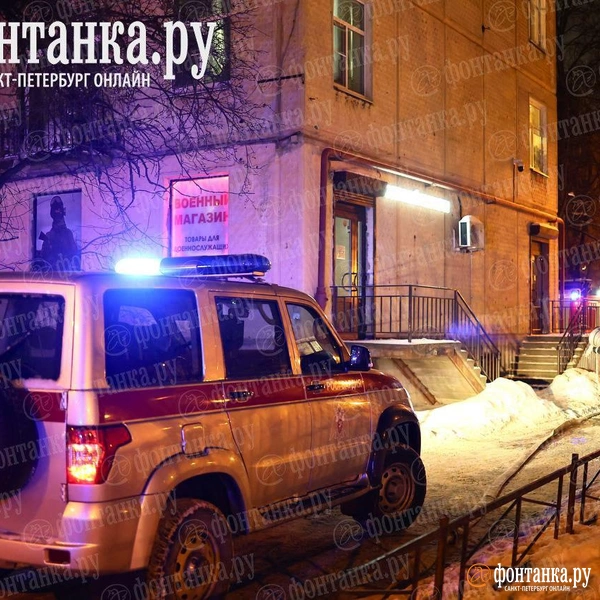 Источник: Дарья Драй / «Фонтанка.ру»