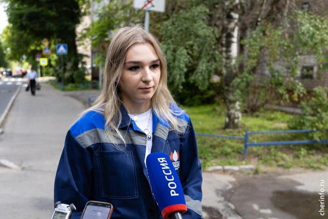 Источник: st.cherinfo.ru