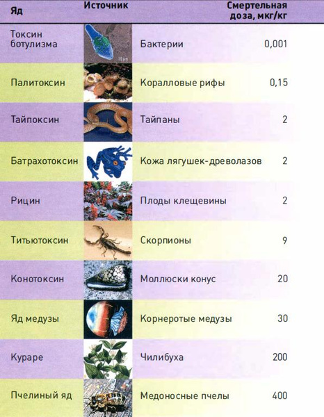 В воде, воздухе и еде: почему яды подстерегают нас повсюду и какой из них самый сильный