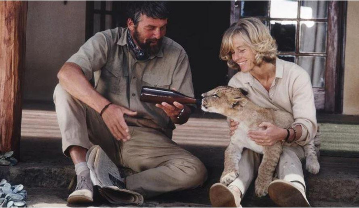 Дикое сердце: как Джой Адамсон спасала львов и гепардов в Кении
