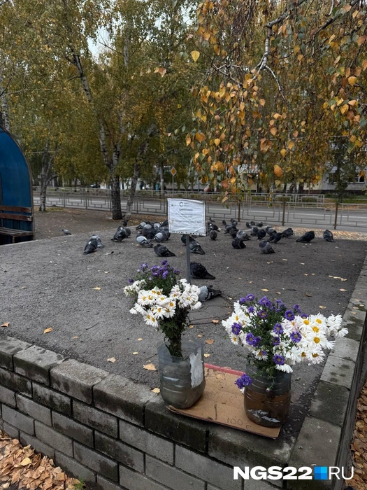 Источник: Полина Шевчукова / NGS22.RU