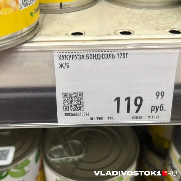 Источник: Елена Буйвол / VLADIVOSTOK1.RU