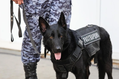 ЦУМ в Ставрополе эвакуировали после сообщения о подозрительных предметах