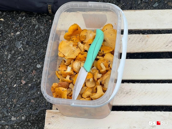 Источник: Александра Балаба