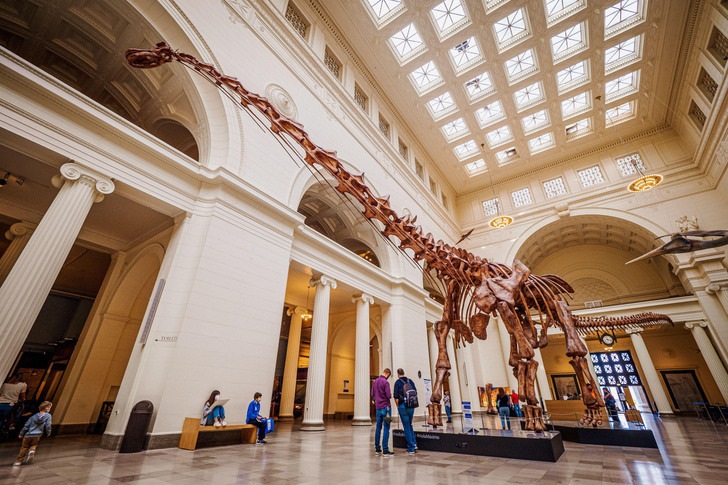 Гигант среди гигантов: каким был самый большой динозавр