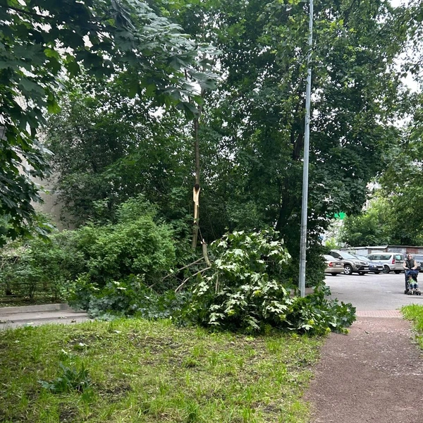 Источник: читательница «Фонтанки» Наталия