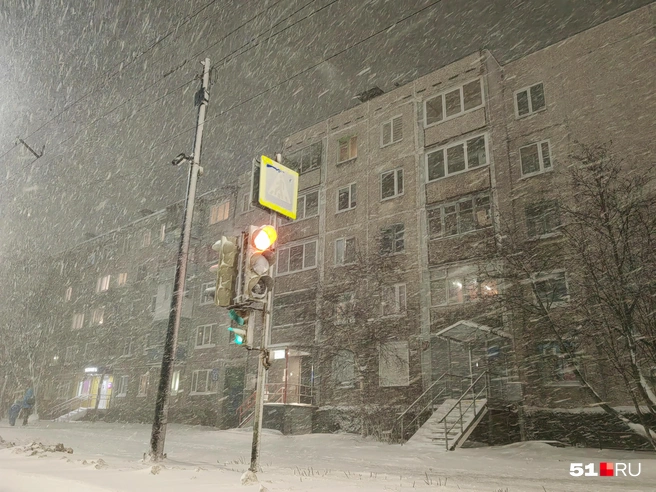 Источник: Юлия Кузнецова / 51.RU