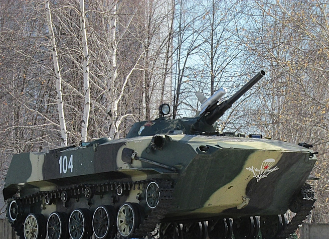 В Ленинском районе Ульяновска планируют учебные стрельбы | Источник: Дмитрий Сильнов / 173. RU