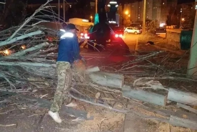 Коммунальщики устраняют последствия шквалистого ветра в Астрахани