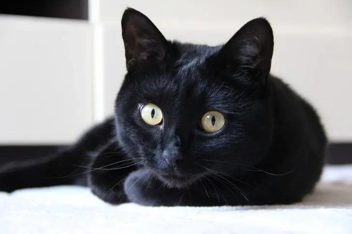 Изображение пользователя