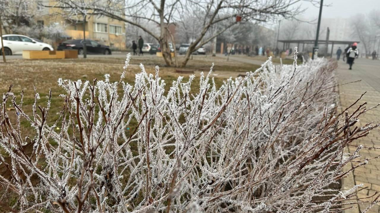 Резкий скачок на 20 градусов. После тепла на Кубань обрушатся заморозки из Европы