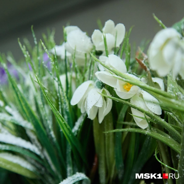 Источник: Дмитрий Толстошеев / MSK1.RU