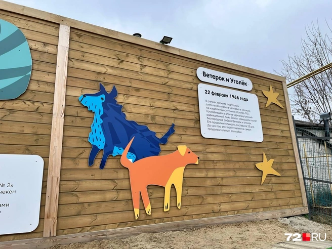 А вот и истории псов-космонавтов. В таком стиле оформлена вся площадка | Источник: Анатолий Кузнецов / 72.RU