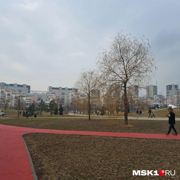 Источник: Арина Майорова / MSK1.RU