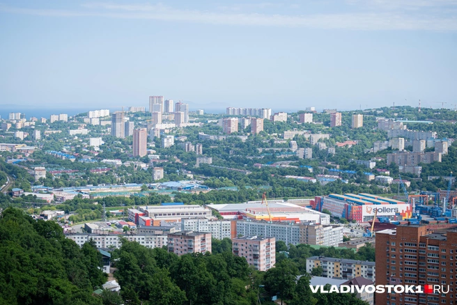 На торги подали всего одну заявку | Источник: Елена Буйвол / VLADIVOSTOK1.RU