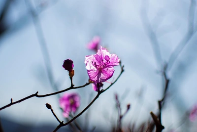 В субботу в Приморье вернется плюсовая температура