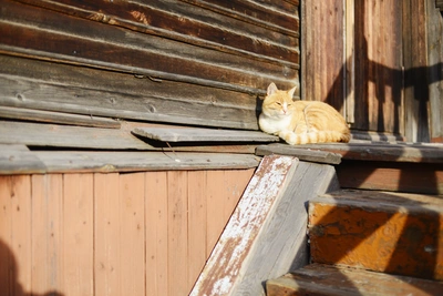 В Архангельской области ожидаются теплые выходные без осадков