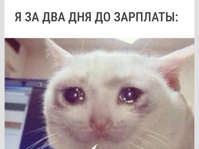 Пожалуйста | Источник: Городские медиа
