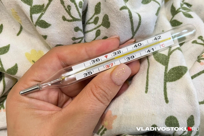 Температура! | Источник: Елена Буйвол / VLADIVOSTOK1.RU