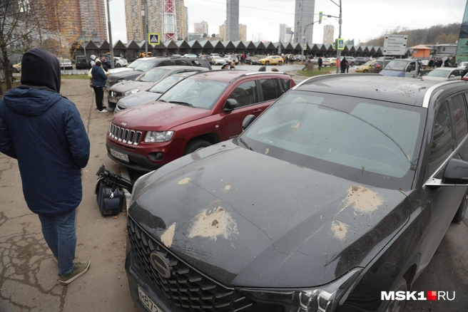 Источник: Дмитрий Толстошеев / MSK1.RU