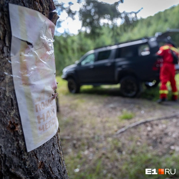 Тренировка спасателей прошла в Чертовом городище | Источник: Владислав Лоншаков / E1.RU