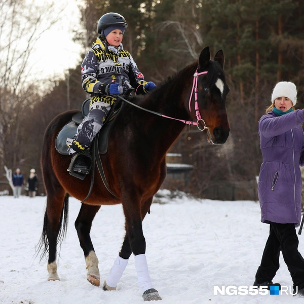 Фабула выглядит так, словно сошла с картинки | Источник: Евгений Софийчук / NGS55.RU