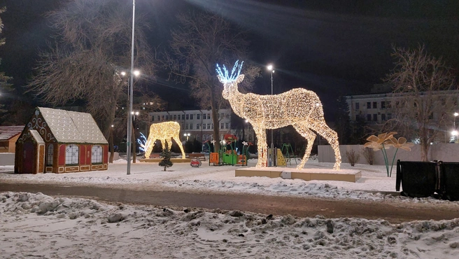 Возле детской площадки «прогуливаются» северные олени | Источник: Сергей Петунин / 164.RU