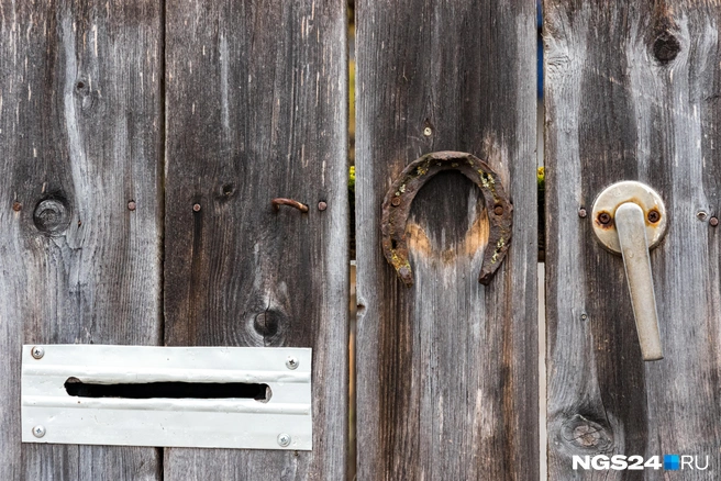 Подкова «на удачу» не помогла | Источник: Мария Ленц / NGS24.RU