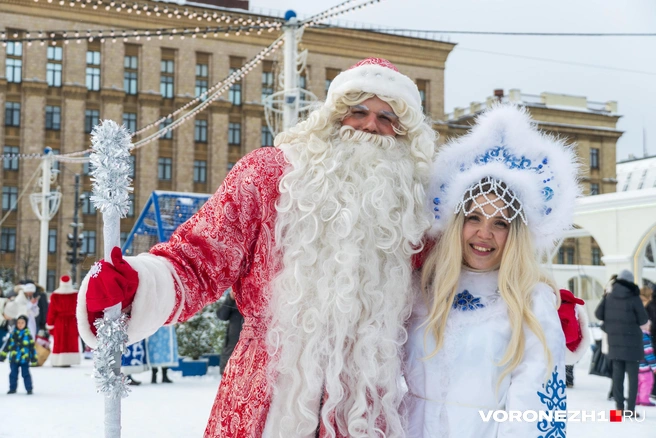 Источник: Дмитрий Волгин / Voronezh1.ru