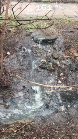 непотребство