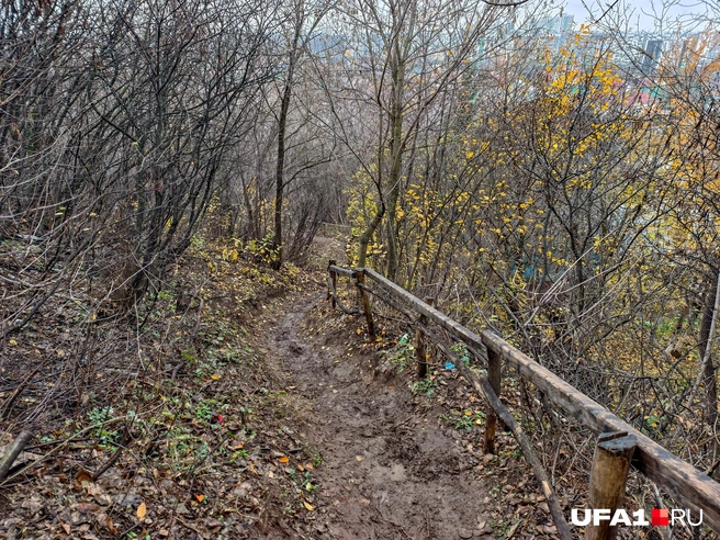 Обойти через кусты можно, но там тоже много рисков | Источник: Булат Салихов / UFA1.RU