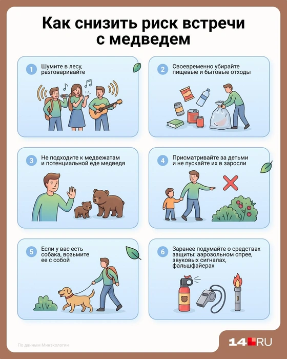Памятка для тех, кто планирует пойти в лес | Источник: Евгения Бикунова / Городские медиа