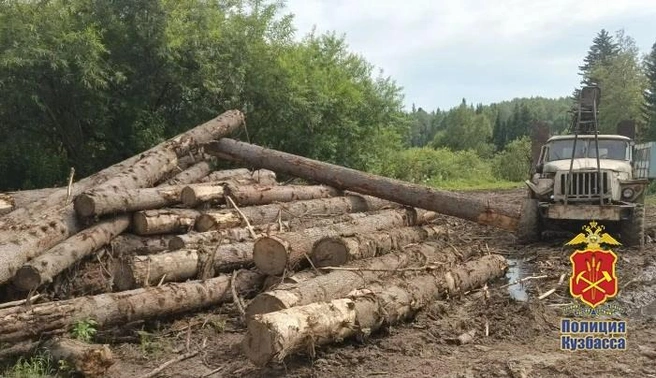 Источник: www.city-n.ru