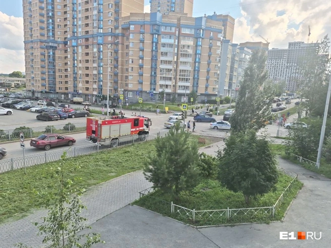 Источник: читатель E1.RU