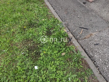Источник: Наталья Бурухина / NN.RU